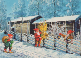 BABBO NATALE Buon Anno Natale GNOME Vintage Cartolina CPSM #PBL605.A - Santa Claus