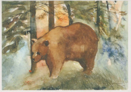 OSO Animales Vintage Tarjeta Postal CPSM #PBS341.A - Bears