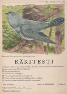 VOGEL Tier Vintage Ansichtskarte Postkarte CPSM #PBR718.A - Vögel