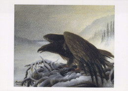 UCCELLO Animale Vintage Cartolina CPSM #PBR411.A - Vögel