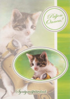 CAT KITTY Animals Vintage Postcard CPSM #PBQ828.A - Katzen
