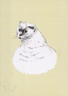 KATZE MIEZEKATZE Tier Vintage Ansichtskarte Postkarte CPSM #PBQ742.A - Katzen