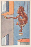 MONO Animales Vintage Tarjeta Postal CPA #PKE772.A - Monkeys