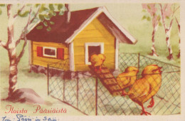 OSTERN HUHN EI Vintage Ansichtskarte Postkarte CPA #PKE375.A - Easter