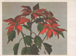 FLOWERS Vintage Ansichtskarte Postkarte CPSM #PAR825.DE - Blumen