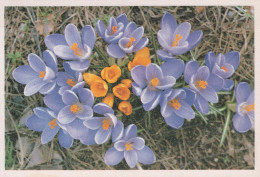 FLOWERS Vintage Ansichtskarte Postkarte CPSM #PAR043.DE - Blumen