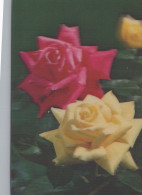 FIORI LENTICULAR 3D Vintage Cartolina CPSM #PAZ177.A - Flowers