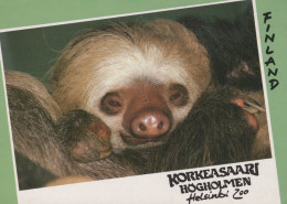 MONO Animales Vintage Tarjeta Postal CPSM #PAN980.ES - Monkeys