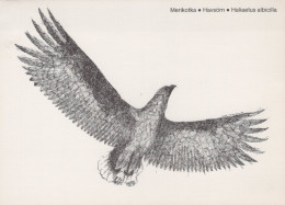 PÁJARO Animales Vintage Tarjeta Postal CPSM #PAN206.ES - Oiseaux