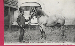 WILLEMS  RACE CHEVALINE - Sonstige & Ohne Zuordnung