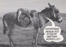 ESEL Tier Vintage Ansichtskarte Postkarte CPSM #PBR918.DE - Donkeys