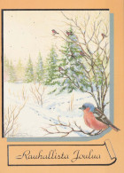 VOGEL Tier Vintage Ansichtskarte Postkarte CPSM #PBR522.DE - Vögel
