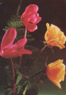 FLEURS Vintage Carte Postale CPSM #PAS185.FR - Flowers