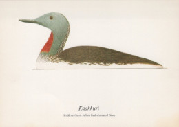 OISEAU Animaux Vintage Carte Postale CPSM #PAN207.FR - Oiseaux