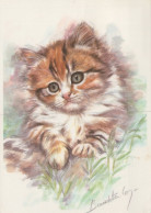 CHAT CHAT Animaux Vintage Carte Postale CPSM #PAM267.FR - Cats