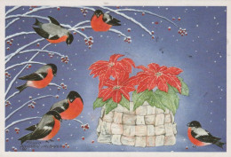 OISEAU Animaux Vintage Carte Postale CPSM #PAM648.FR - Oiseaux