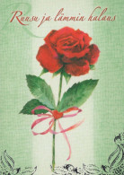 FLORES Vintage Tarjeta Postal CPSM #PBZ651.ES - Flowers