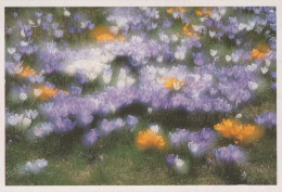 FLOWERS Vintage Postcard CPSM #PAR040.GB - Flowers