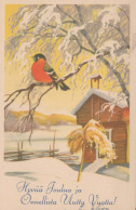 Bonne Année Noël OISEAU Vintage Carte Postale CPSMPF #PKD323.FR - Neujahr