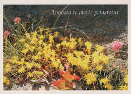FLEURS Vintage Carte Postale CPSM #PBZ172.FR - Flowers