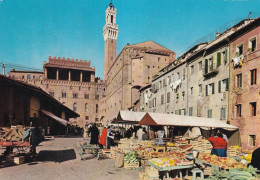 Siena Palazzo Del Mercato - Siena