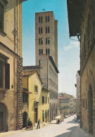 Arezzo Maria Della Pieve - Arezzo