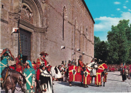 Arezzo Giostra Del Saracino - Arezzo