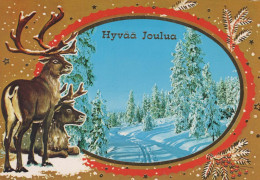 Buon Anno Natale CERVO Vintage Cartolina CPSM #PAV664.IT - Nouvel An