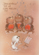 UCCELLO Animale Vintage Cartolina CPSM #PAM899.IT - Birds