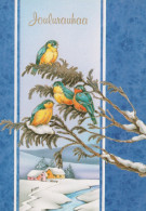 UCCELLO Animale Vintage Cartolina CPSM #PAM836.IT - Vögel