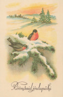 Happy New Year Christmas BIRD Vintage Postcard CPA #PKE833.GB - Nouvel An