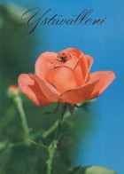 FLOWERS Vintage Postcard CPSM #PBZ290.GB - Fleurs