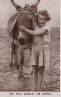 ASINO Animale BAMBINO Vintage CPA Cartolina #PAA282.IT - Donkeys