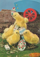 PASQUA POLLO UOVO Vintage Cartolina CPSM #PBO828.IT - Easter