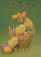 PASQUA POLLO UOVO Vintage Cartolina CPSM #PBO640.IT - Easter