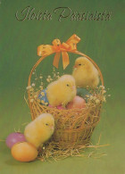 PASQUA POLLO UOVO Vintage Cartolina CPSM #PBO640.IT - Ostern