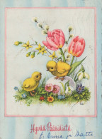 PASQUA POLLO UOVO Vintage Cartolina CPSM #PBO701.IT - Easter