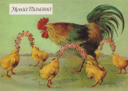 PASQUA POLLO Vintage Cartolina CPSM #PBO890.IT - Easter