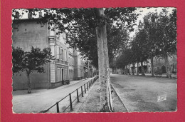 LA ROQUE D'ANTHERON- 13 - Cours Foch- Les Ecoles - 1959 - Sonstige & Ohne Zuordnung