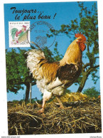 405 - 9 - Carte Maximale Suisse - Timbre "coq" - Cachet Illustré De Koppigen 1994 - Hoftiere