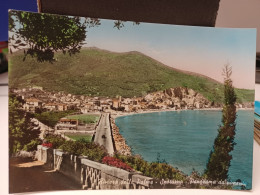 Cartolina Spotorno, Riviera Delle Palme ,provincia Savona, Panorama Da Ponente Anni 60 - Savona