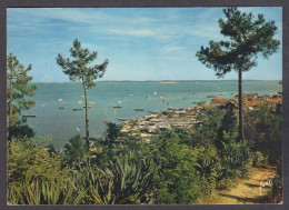 124364/ LÈGE-CAP-FERRET, L'Herbe, Le Port Des Pêcheurs - Autres & Non Classés