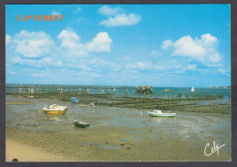 118114/ LÈGE-CAP-FERRET, Cap-Ferret, La Plage Et La Jetée De Bélisaire - Other & Unclassified