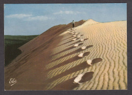 100639/ LA TESTE-DE-BUCH, La Dune Du Pilat - Autres & Non Classés