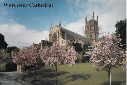 WORCESTER CATHEDRAL, WORCESTER, ENGLAND. UNUSED POSTCARD  Nd4 - Chiese E Conventi