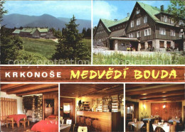 71934285 Krkonose Medvedi Bouda  - Poland