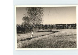 71933503 Bad Schussenried Moorlandschaft  Bad Schussenried - Bad Schussenried