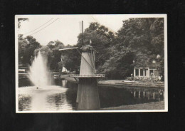 Rotterdam, Parc Avec Moulin - Rotterdam