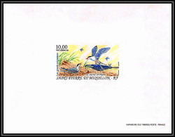 86233 PA N°74 Sterne Arctique Arctic Tern Oiseaux (birds) Bloc Feuillet Gommé RRR ** MNH Saint-Pierre Et Miquelon - Blokken & Velletjes