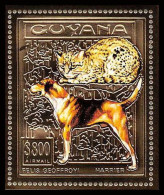 86158c/ Guyana Mi N°374 A Chiens Et Chats Cats And Dogs Harrier Persian OR Gold ** MNH 1993 - Hunde